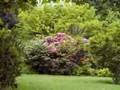 Spring, Wiosna Antonio Vivaldi Part 2