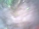 Please Pakinggan n lng ung Sound..Mahihilo kayo..Special Thx for:StickManfor His Stick Body