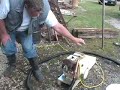 Gasifier on ICE