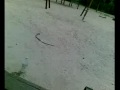 desastre con una bomba de salfuman