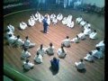 IGAM Tae Kwon Do Video