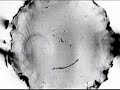 Inverted Ferro Fluid Quadrupole