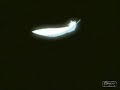 Wolf's Rain Parody Wolf's Rain Parody