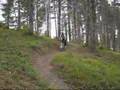 Circuit vtt à Graulhet