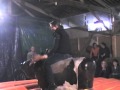 Bullriding Party Vredepeel verjaardag Jolanda