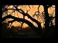 Op die Plaas/Farm (Suid Afrika) - spot the mistakes