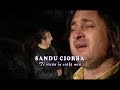 Sandu-Ciorba-Te-vrea