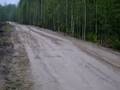 videos de Hare, cunnings in wood. Hunting. Заяц, хитрости в лесу. Охот