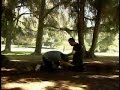 Self defense techniques ULTIMATE SUPER Self defense MUST SEE! ??? Self defense techniques ULTIMATE SUPER Self defense MUST SEE! ???