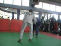 Pulga - PGT mafra vs ????