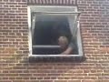 emil kaster bolden(: