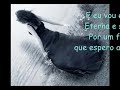 presentaci-n-de-bandas-.html