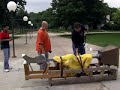 Moving Ed\