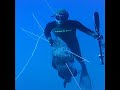 Grouper 22 Kg Grouper 22 Kg