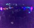 The Genesis Projection @ Las Vegas Disco(Lipomo - Como)