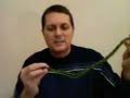 CandyAddict.com Video Review #1