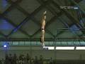 Americans Finchum and Boudia get Silver