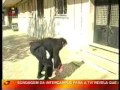 Jos� Maria Martins (advogado de bibi)... no ch�o