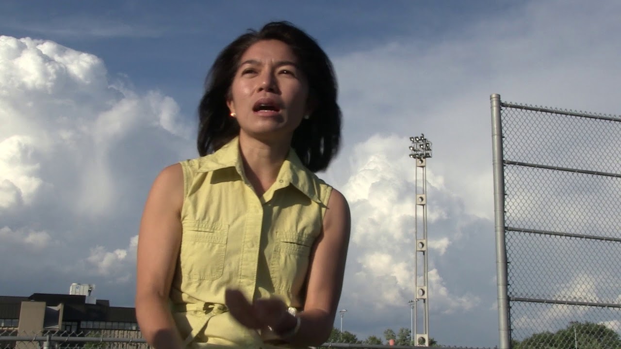 L'intervention en clinique transculturelle