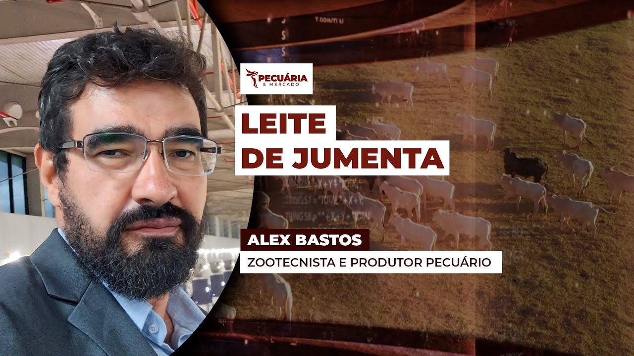 Asininocultura aposta em valor agregado e economia circular para ganhar rentabilidade