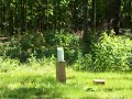 Heckler & Koch USP.40 vs milk carton