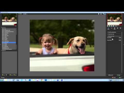 how to isolate subject in photography