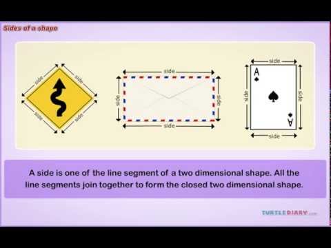 Number of Sides of Every Shape! *Math for Kids*