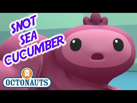 Octonauts - The Snot Sea Cucumber Thumbnail