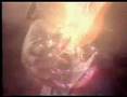 David Gilmour, Venice 1989 -Comfortably Numb - guitar solo