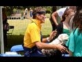 David Hasselhoff pampers pooches