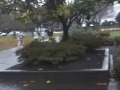 Channel 80 News - Postbusters 2 - Part 4
