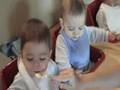 Feeding Triplet Oleesky Monkies