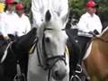 2008 總統選舉造勢遊行 #6