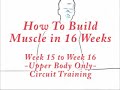 How To Build Muscle in 16 Weeks - Upper Body week 15 to 16