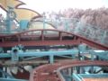 Disneys Animial Kingdom.