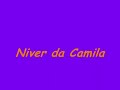 niver da camila   dança do ventre e dança árabe