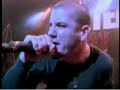 pantera-walk.html