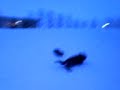 Snowriding 4
