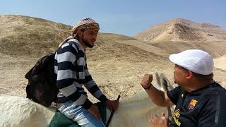 عرب الرشايدة مع جلال رمانة