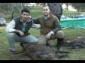 Los Lagares reses Los Lagares reses