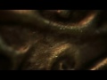 Fable III Official Debut Trailer (HD)