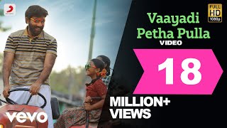 Kanaa - Vaayadi Petha Pulla Video  Arunraja Kamara