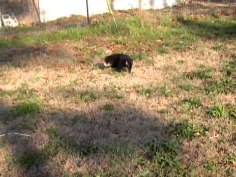 Bergitta playing outside
