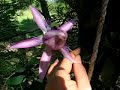 Passionate Birth