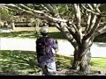 Greatest Jump EVER! 24 Step Jump 180 degrees