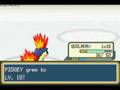 Pokemon Shiny Gold gym leader 2 (plz read describtion)