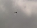 Low level Tiger Moth aerobatics Low level Tiger Moth aerobatics
