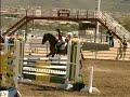 Hillbilly Deluxe-Swedish Warmblood Jumper For Sale Hillbilly Deluxe-Swedish Warmblood Jumper For Sale