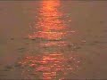 Bach/Siloti  'Prelude in B minor'  Haydn Dickenson - piano