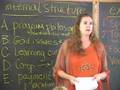 Starting a Waldorf Enrichment Program